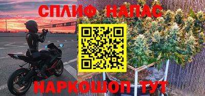 шишки Пушкино