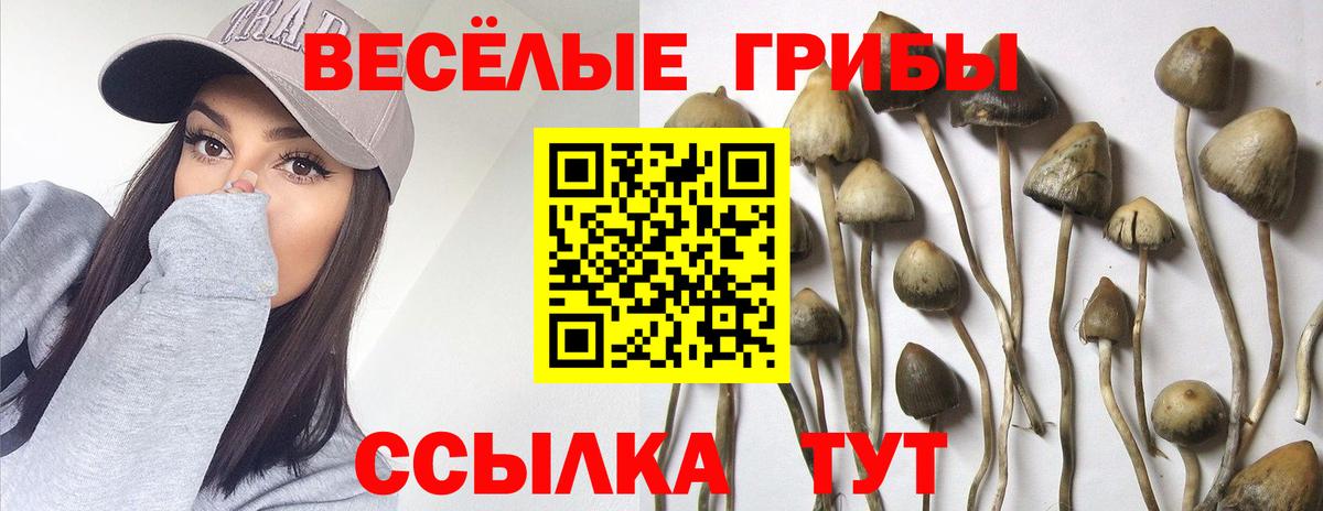 купить  цена  Псилоцибиновые грибы MAGIC MUSHROOMS  Вход с VPN  Отрадный 